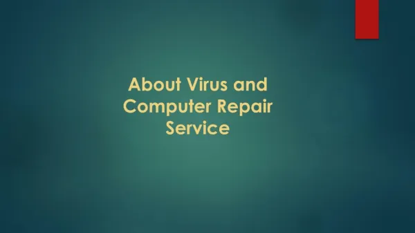 About Virus and Computer Repair Service
