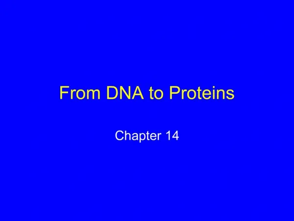 From DNA to Proteins