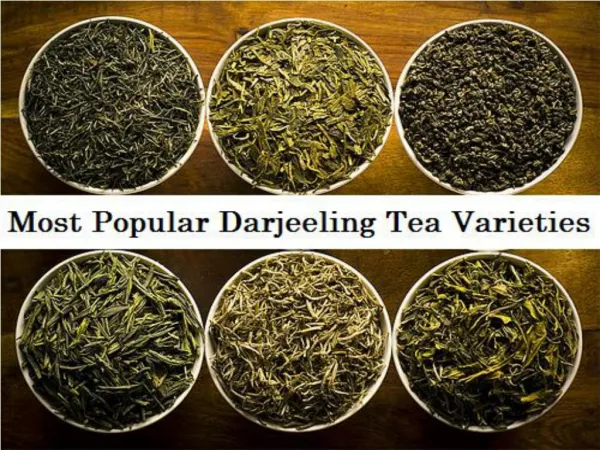 Most Popular Darjeeling Tea Varieties