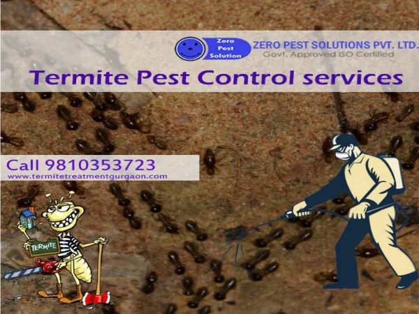 Get 10% discount on termite pest control services.