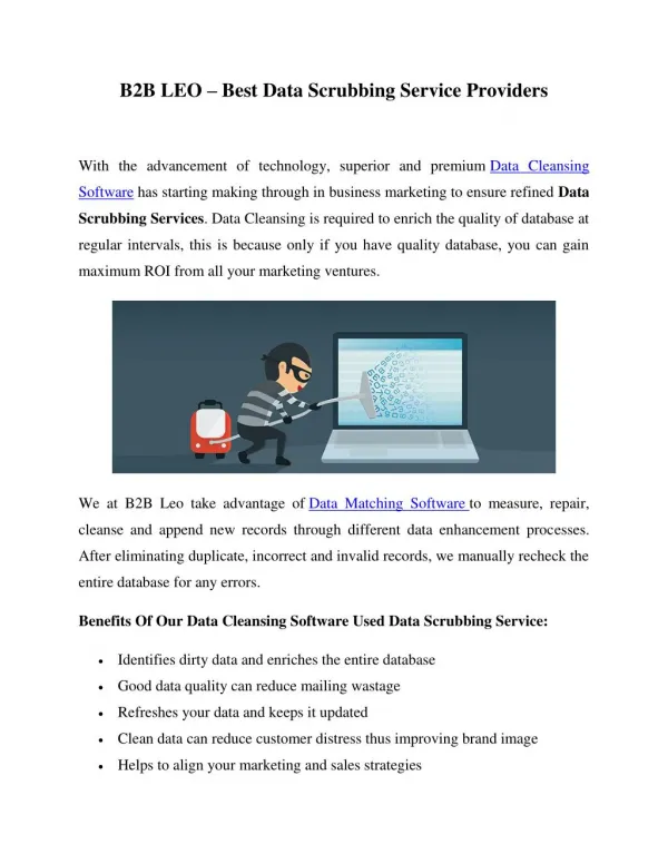 B2B LEO – Best Data Scrubbing Service Providers