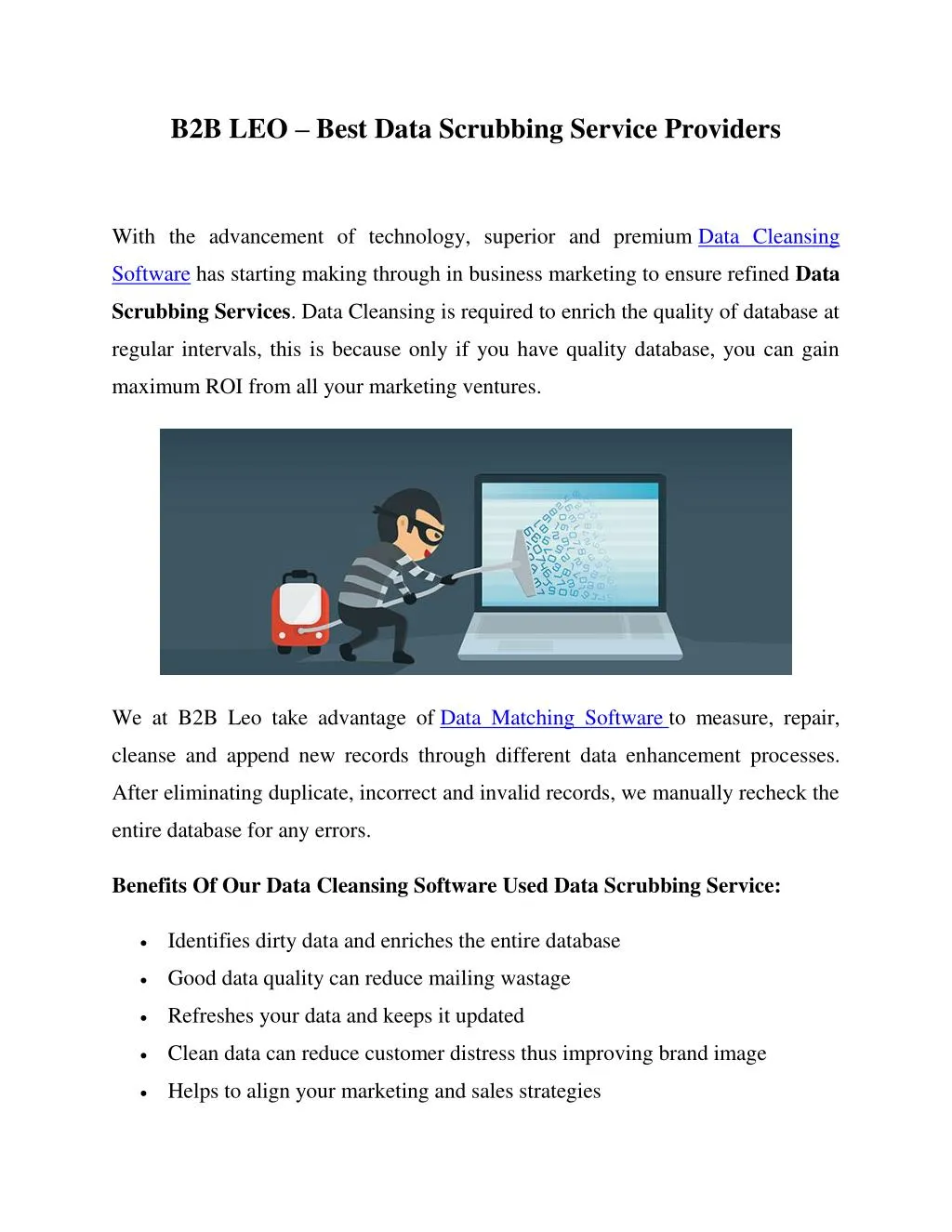 b2b leo best data scrubbing service providers