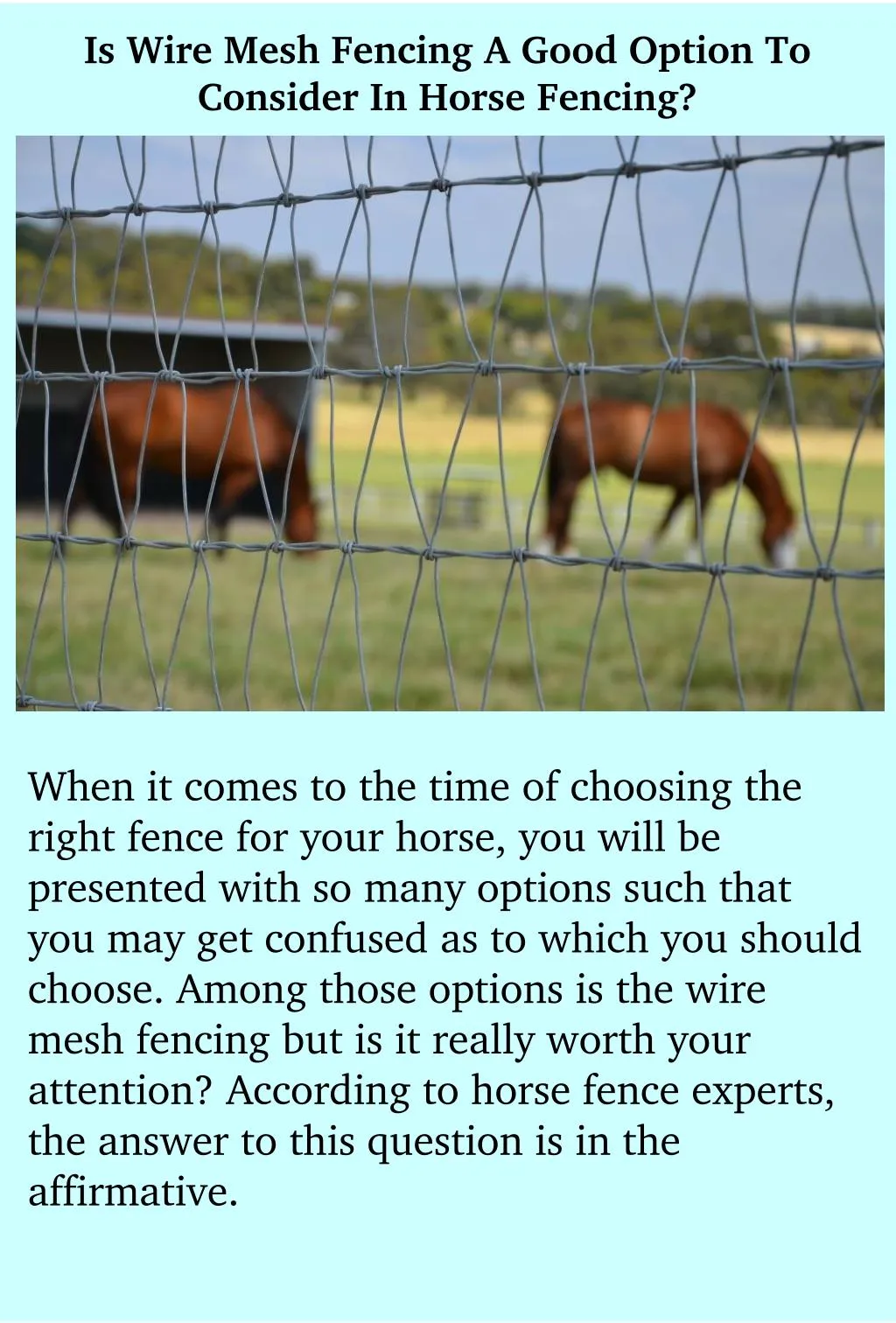is wire mesh fencing a good option to consider