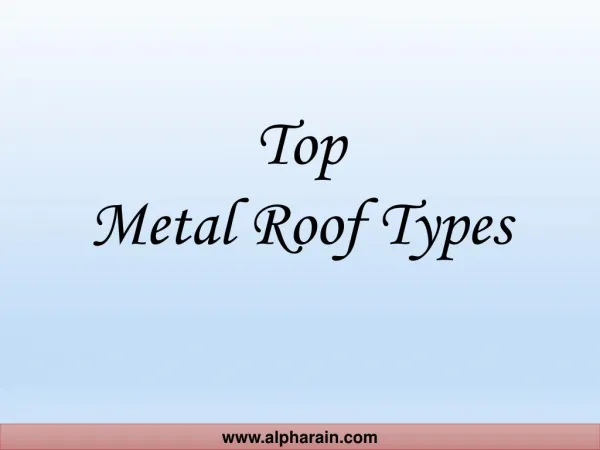 Top Metal Roof Types