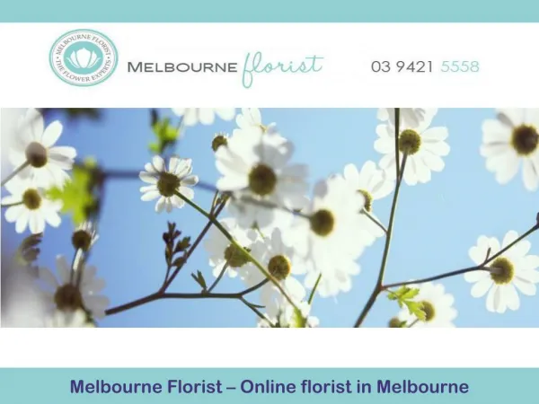 Melbourne Florist – Online florist in Melbourne