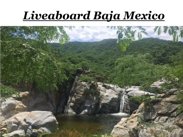 Liveaboard Baja Mexico