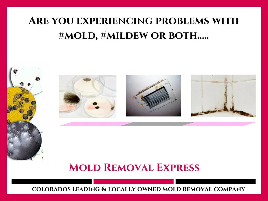 are you experiencing problems with mold mildew