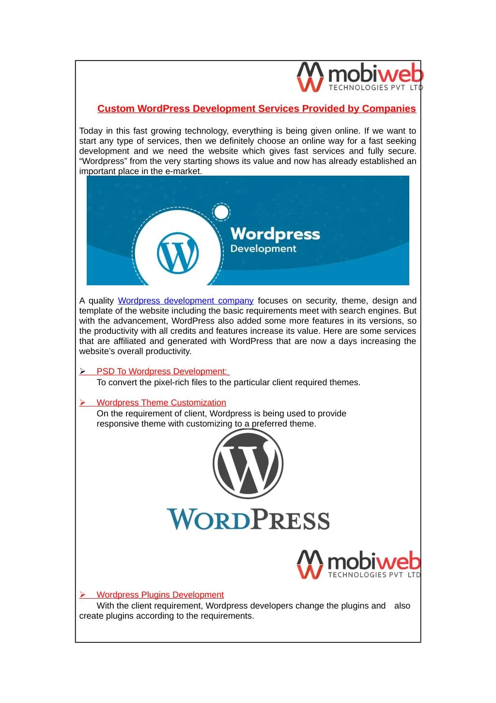 custom wordpress development services provided