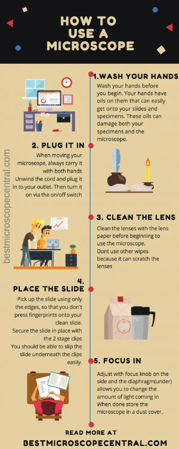 How to use a microscope step by step - Infographic