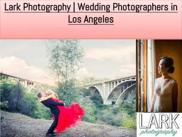 Lark Photography | Wedding Photographers in Los Angeles