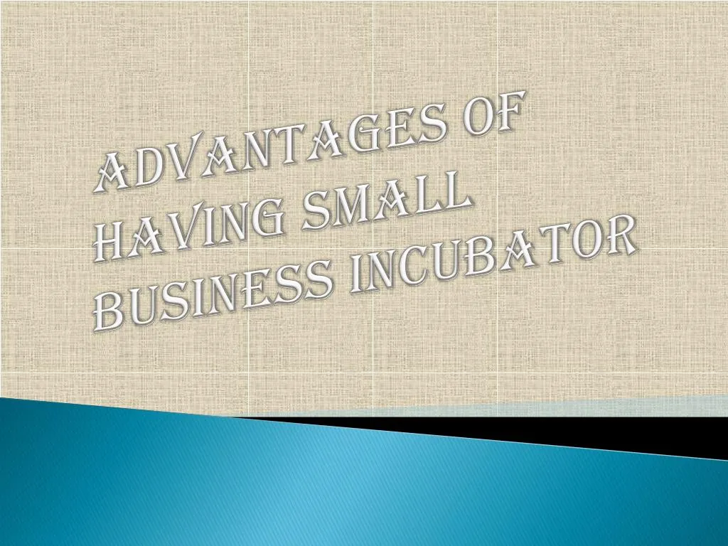 advantages of having small business incubator