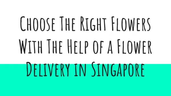 Choose The Right Flowers With The Help of a Flower Delivery in Singapore