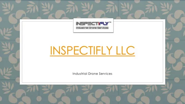Inspectifly LLC Presentation