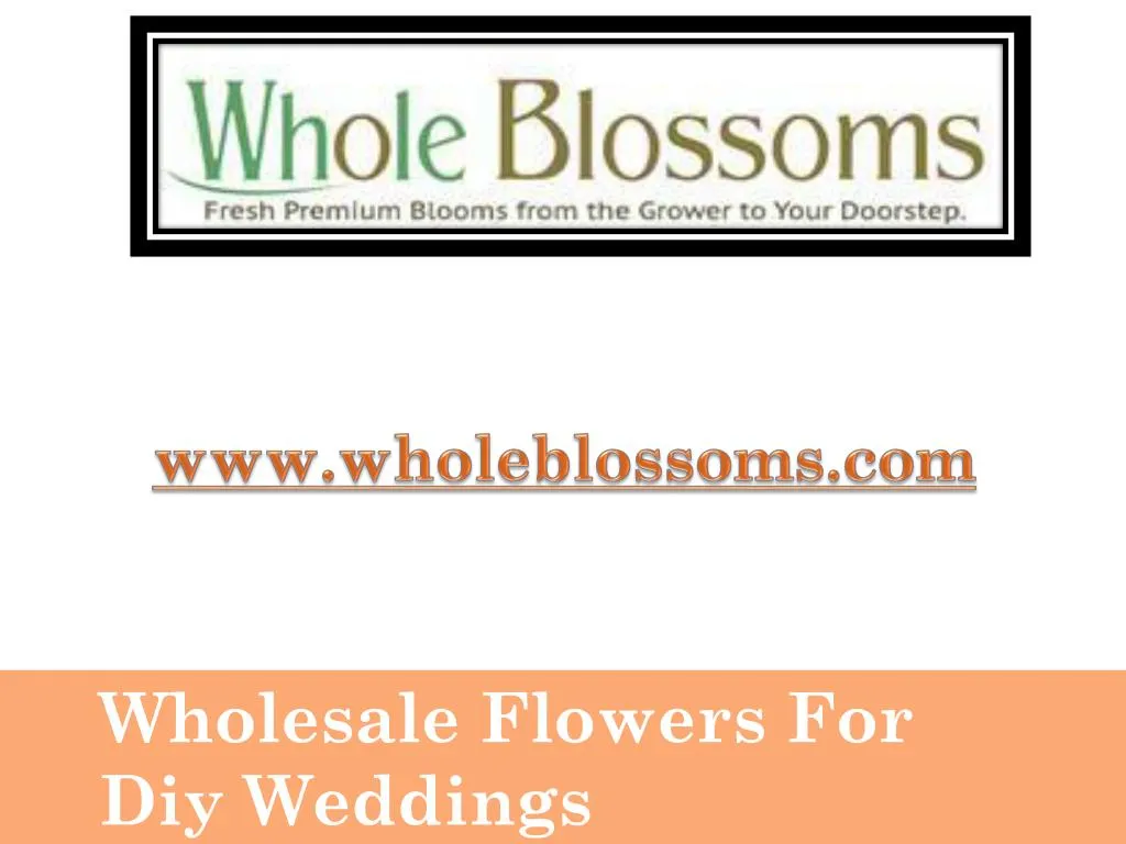 www wholeblossoms com