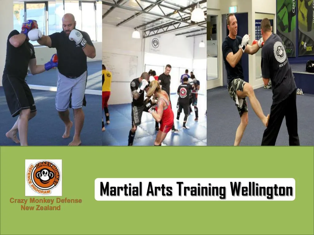 martial arts training wellington