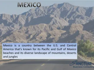 Mexico Visa - slide 1