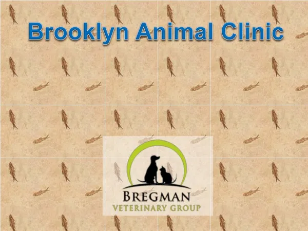 Brooklyn animal clinic
