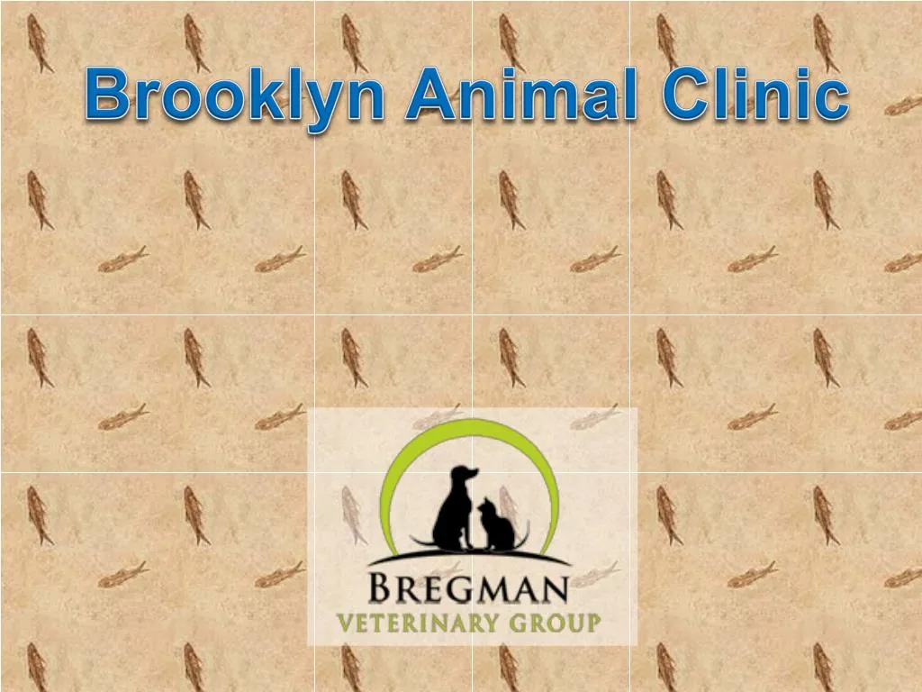 brooklyn animal clinic