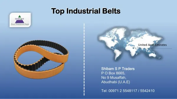 Cost Effective Timing belts Automotive Suppliers in UAE