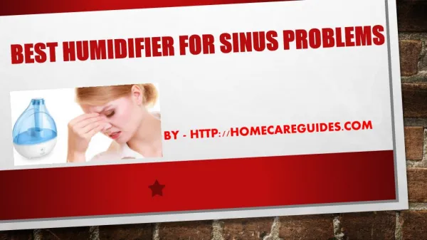 Best Humidifier For Sinus Problems