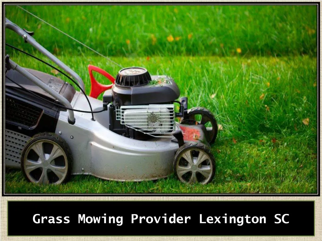 grass mowing provider lexington sc