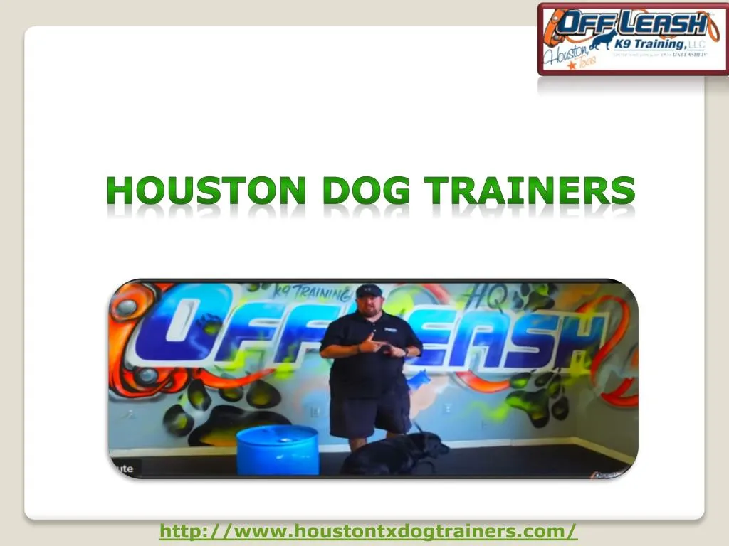 houston dog trainers