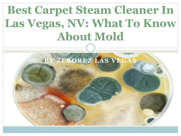 Best Carpet Steam Cleaner In Las Vegas, NV: What To Know About Mold