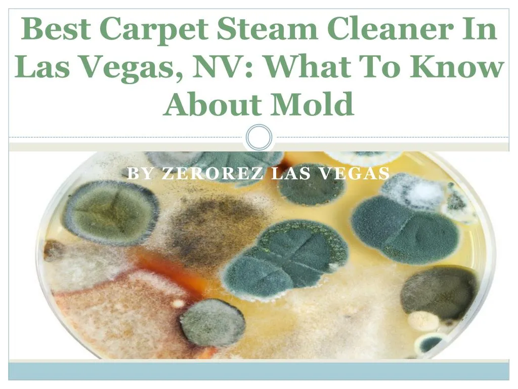 best carpet steam cleaner in las vegas nv what