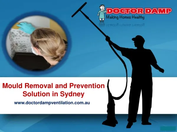 Mould Removal and Prevention Solution in Sydney