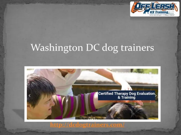 DC Dog trainers Services in Washington USA
