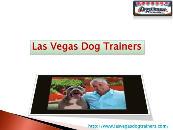 Dog Training Services in Las Vegas Nevada USA