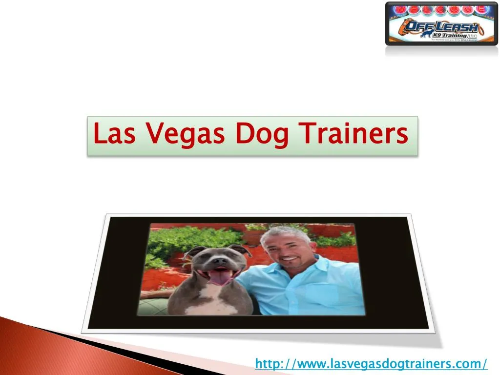 las vegas dog trainers