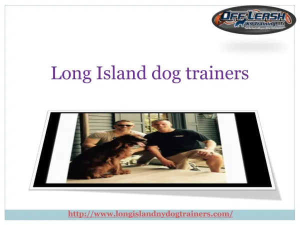 Providing Dog Training Services in Long Island New York USA