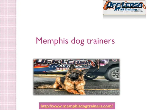 Memphis dog trainers Services in USA