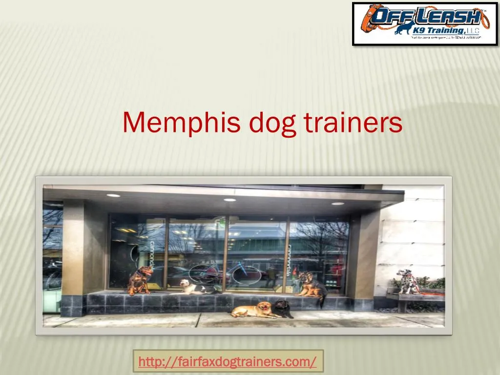 memphis dog trainers