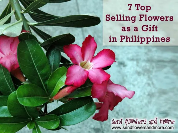Top selling flowers as a gift in philippines