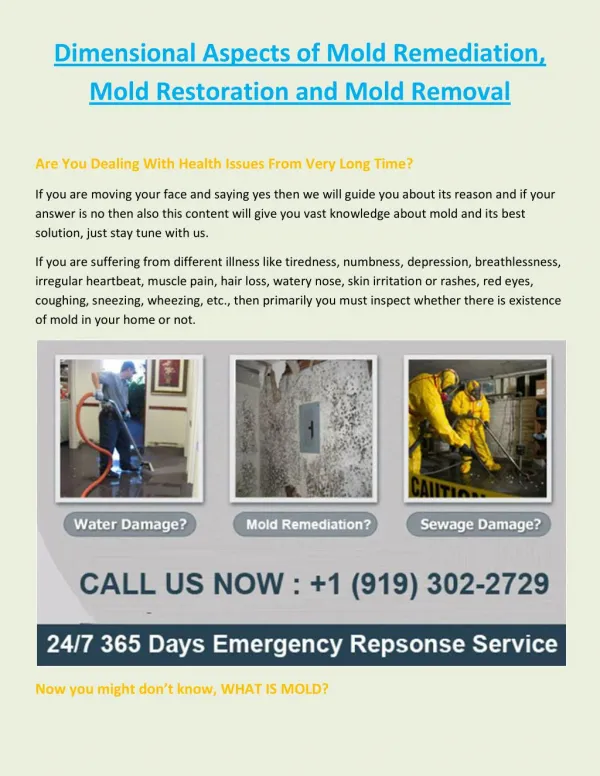 Dimensional Aspects of Mold Remediation, Mold Restoration and Mold Removal