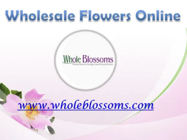 Wholesale Flowers For Diy Weddings - www.wholeblossoms.com