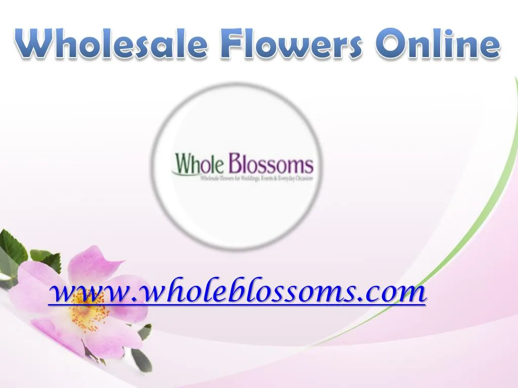 wholesale flowers online