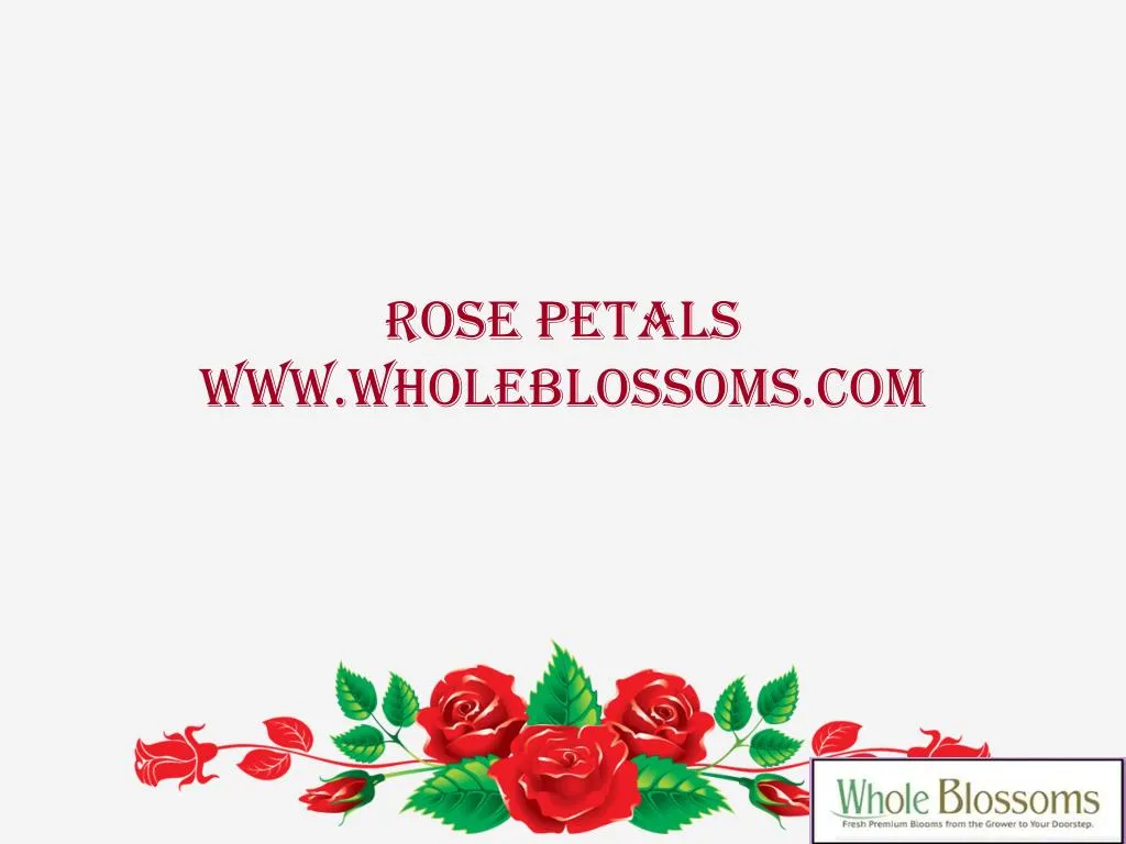 rose petals www wholeblossoms com