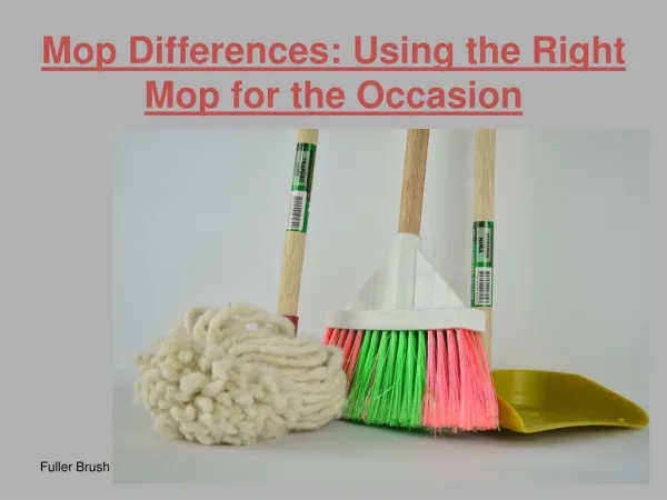 Mop Differences: Using the Right Mop for the Occasion