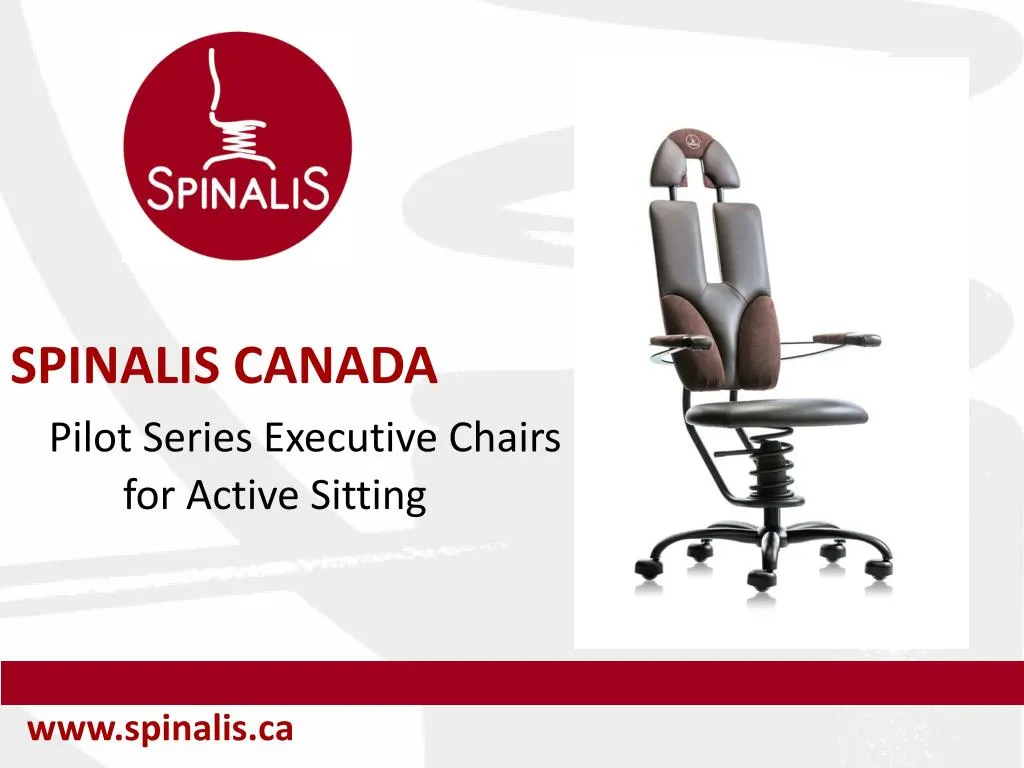 spinalis canada pilot series executive chairs for active sitting