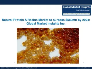 Asia Protein A Resins Market to grow at 8.5% CAGR from 2016 to 2024
