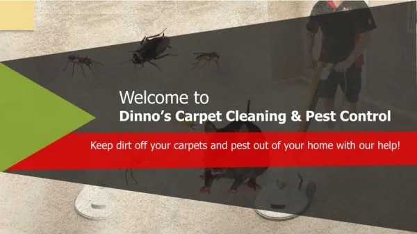 Dinno's Carpet Cleaning & Pest Control