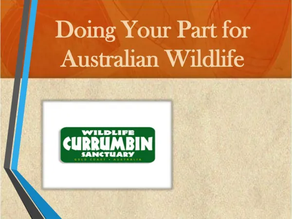 Doing Your Part for Australian Wildlife