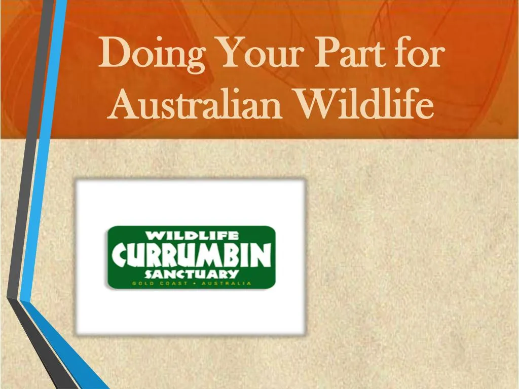 doing your part for australian wildlife