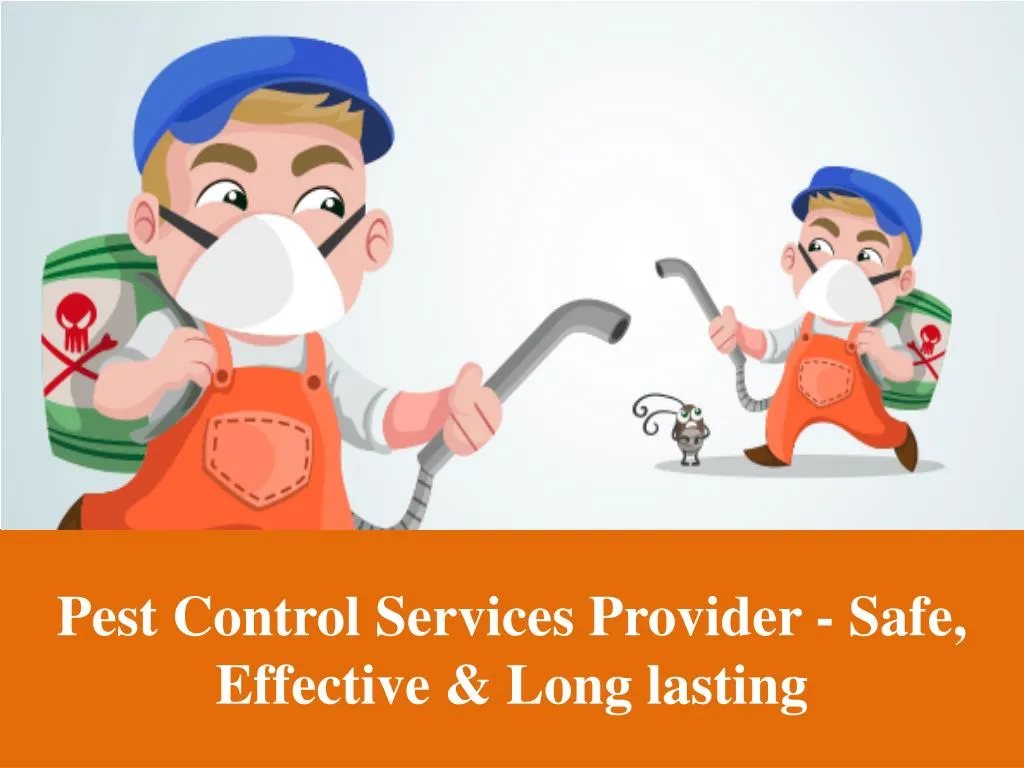 pest control services provider safe effective long lasting