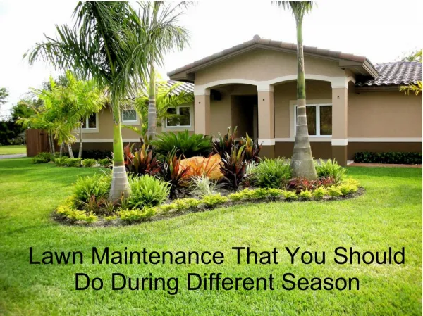 Lawn Maintenance That You Should Do During Different Season