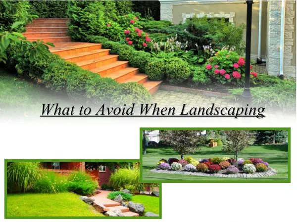 What to Avoid When Landscaping