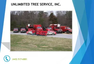 Tree Trimming Pasadena - slide 1